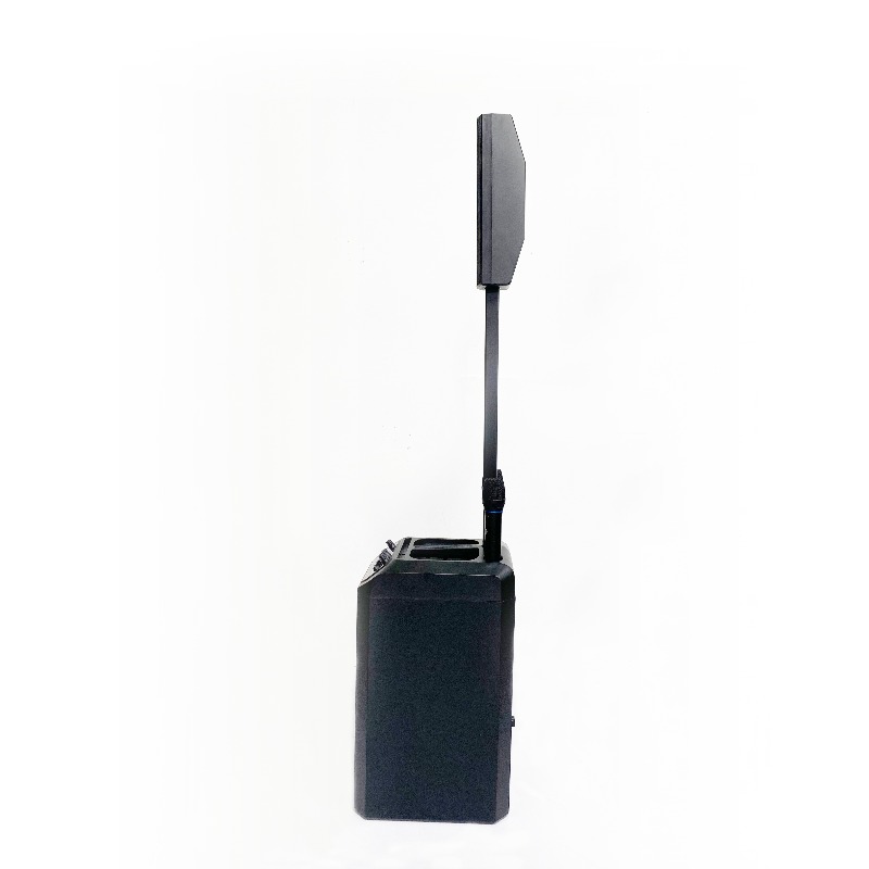 Outdoor Tower Speakers Profess - đánh giá và giá Outdoor Power Tower