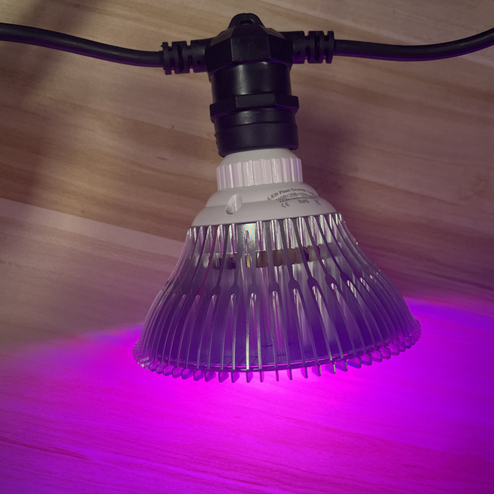 10M Cable LED String Commercia - đánh giá và giá Outdoor Power Socket