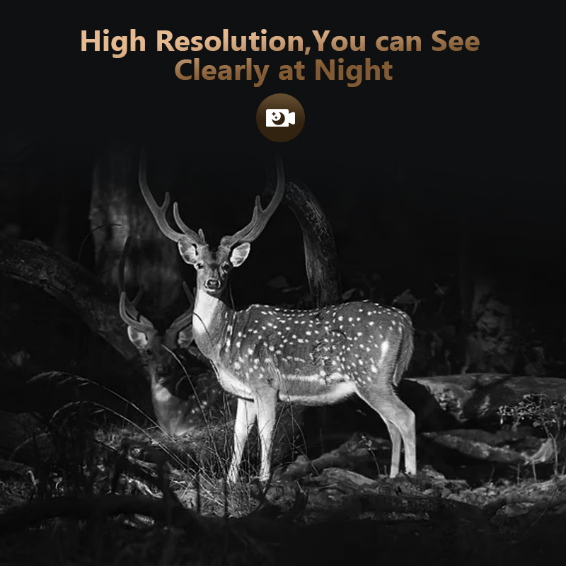 4G 4MP Outdoor Wildlife Huntin - đánh giá và giá Panel Power Outdoor