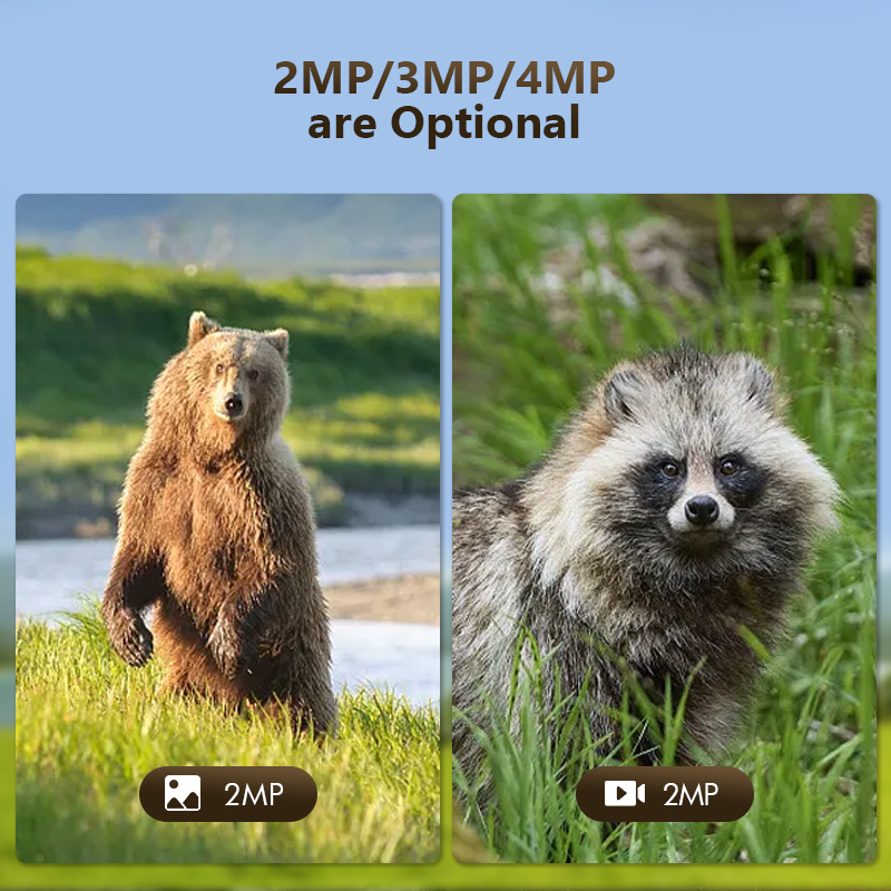 4G 4MP Outdoor Wildlife Huntin - đánh giá và giá Panel Power Outdoor